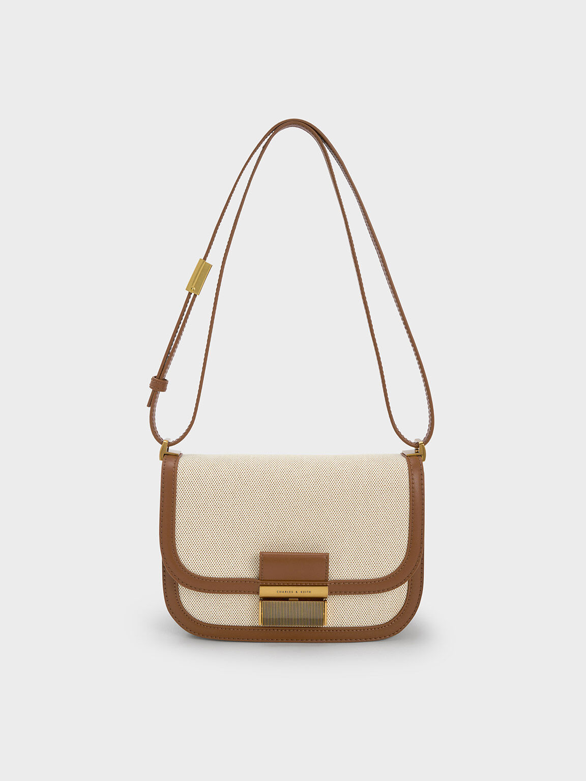 Chocolate Winslet Canvas Belted Hobo Bag, CHARLES & KEITH in 2023